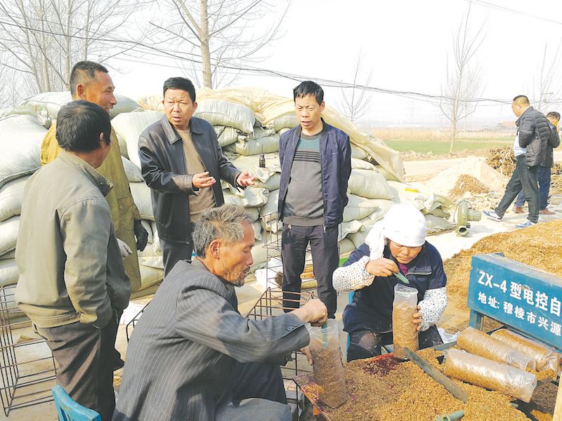 山东至尊国际集团有限公司内容图片展示