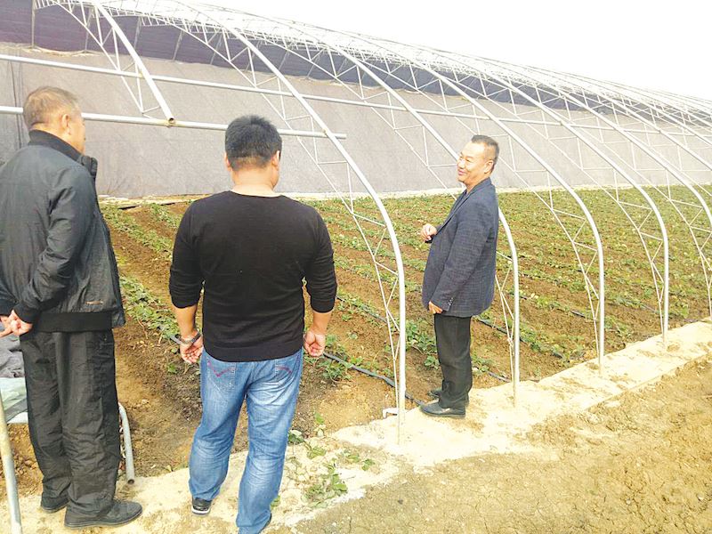 山东至尊国际集团有限公司内容图片展示